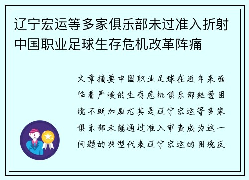 辽宁宏运等多家俱乐部未过准入折射中国职业足球生存危机改革阵痛